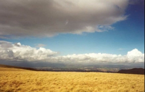 T36	The view over Auchterarder from the 474 metre summit.