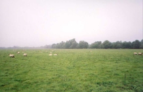 V02	Port Holme meadows, Britain's largest remaining water meadows, just south of Huntingdon.