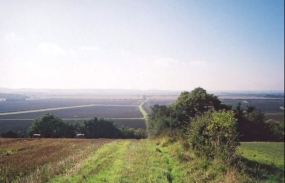 V07	Looking south down Crane Hill along the course of the roman road.