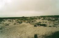 ZX08	On Bleaklow summit.