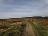 The path across Scarth Wood Moor.