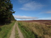 The path across Great Ayton Moor.