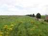 Following the floodbank southwestwards.