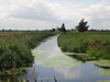 A drain leading off the Engine Basin.