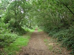 P20028250030	The Weaver's Way passing through North Walsham Wood. 