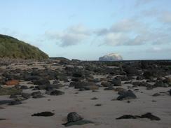 P2002A030017	The Bass Rock from Peffer Sands. 