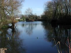 P2002B260065	The millpond near Broomhills. 