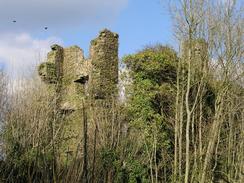 P20033120021	The ivy-clad ruins of Castell Moel.