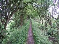 P20034261941	The path heading eastwards towards the River Wyre.