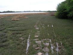 P20034261952	Boggy ground leading to Shard Bridge.