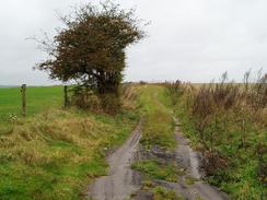 P2004A232056	A by-way at the Gibbet.