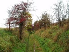 P2004A232080	The path leading northwestwards onto Breakheart Hill from Chitterne.