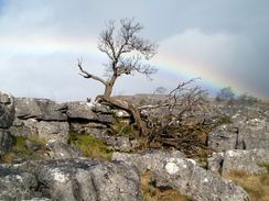 P20053265210	Limestone pavement and a rainbow.