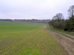 P2005B278538	The path between Middleton and Great Henny.