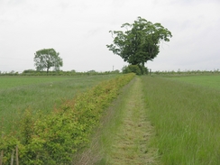 P20065272595	The path heading north from Whitwell.