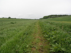 P20065272637	Heading eastwards from Stocken Hall Farm.