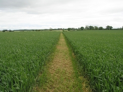 P20065272664	The path leading towards Pickworth.