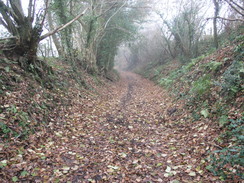 P2007B261543	The path heading southwestwards towards Ludwell.