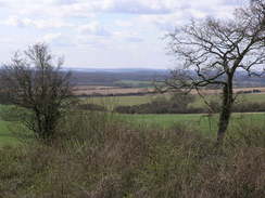 P20083193979	The view from on top of an old pit near Becket's Down.