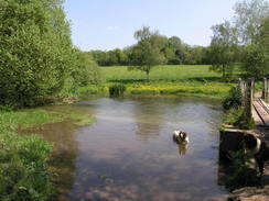 P20085074675	The River Meon at Droxford.