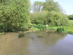 P20085074678	The River Meon at Droxford.
