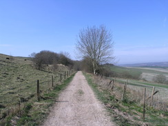 P20104090188	The Roman Road leading westwards onto Morgan's Hill.