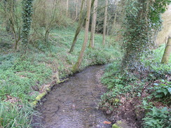 P20104120255	The stream by the path leading north out of Urchfont.