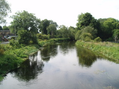 P20108050047	The River Avon at Ibsley Bridge.
