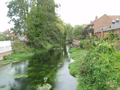 P20109130100	The River Avon in Downton.