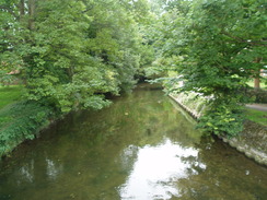 P20109130178	The River Avon in Salisbury.