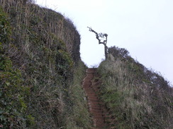 P2010B270745	The steps leading up westwards from Weston Mouth