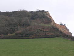 P2010B270781	The view east up Higher Dunscombe Cliff.