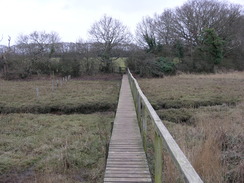 P20111272319	A footbridge over the marshland.