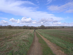 P20112142919	The path between Moor Farm and Great Budbridge Manor.