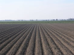 P20113243584	A ploughed field.