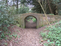 P20114074281	A footbridge near Dunwich Friary.