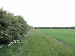 P20115185807	The path leading north towards Donington on Bain.