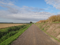 P2011DSC01998	The track heading northeastwards towards Prickwillow.