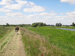 P2011DSC02098	Heading east along the floodbank of the Little Ouse.