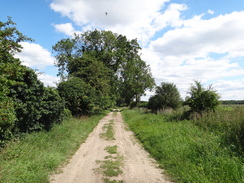 P2011DSC02131	Heading east along the track from Lakenheath.