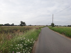 P2011DSC02438	Following roads northeastwards towards Wymondham.