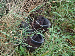 P2011DSC03181	Old boots on the path.
