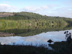 P2011DSC03619	A view across Loch Oich.