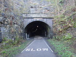 P2011DSC08120	The western portal of Headstones Tunnel.