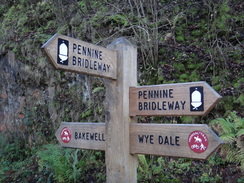 P2011DSC08233	A Pennine Bridleway waypost in Chee Dale.