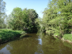 P2012DSC00333	The Stour at Wissington.