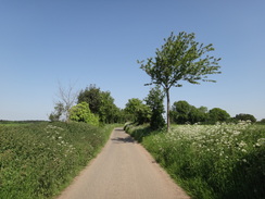 P2012DSC00360	A road heading north out of Nayland.