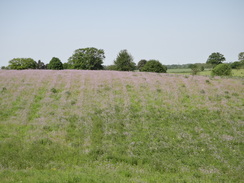 P2012DSC00365	Fields between Nayland and Stoke-by-Nayland.