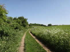 P2012DSC00374	The path heading east towards Stoke-by-Nayland.