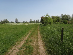 P2012DSC00415	Following the trail as it curves around to the Stour at Langham.